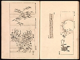 Mirror of Genuine Work of Monk Hōitsu (Hōitsu shōnin shinseki kagami), Ikeda Koson (Japanese, 1803–1868), Set of two woodblock printed books; ink and color on paper, Japan