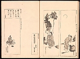 Mirror of Genuine Work of Monk Hōitsu (Hōitsu shōnin shinseki kagami), Ikeda Koson (Japanese, 1803–1868), Set of two woodblock printed books; ink and color on paper, Japan