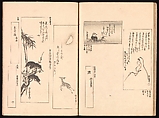 Mirror of Genuine Work of Monk Hōitsu (Hōitsu shōnin shinseki kagami), Ikeda Koson (Japanese, 1803–1868), Set of two woodblock printed books; ink and color on paper, Japan
