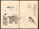 Mirror of Genuine Work of Monk Hōitsu (Hōitsu shōnin shinseki kagami), Ikeda Koson (Japanese, 1803–1868), Set of two woodblock printed books; ink and color on paper, Japan