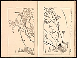 Mirror of Genuine Work of Monk Hōitsu (Hōitsu shōnin shinseki kagami), Ikeda Koson (Japanese, 1803–1868), Set of two woodblock printed books; ink and color on paper, Japan