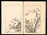 Mirror of Genuine Work of Monk Hōitsu (Hōitsu shōnin shinseki kagami), Ikeda Koson (Japanese, 1803–1868), Set of two woodblock printed books; ink and color on paper, Japan