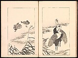 Mirror of Genuine Work of Monk Hōitsu (Hōitsu shōnin shinseki kagami), Ikeda Koson (Japanese, 1803–1868), Set of two woodblock printed books; ink and color on paper, Japan