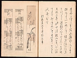 Spread 5 of 17 Ink Traces of Kenzan (Kenzan iboku), Sakai Hōitsu (Japanese, 1761–1828), Woodblock printed book; ink and color on paper, Japan