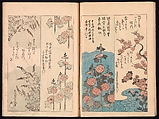 Spread 8 of 17 Ink Traces of Kenzan (Kenzan iboku), Sakai Hōitsu (Japanese, 1761–1828), Woodblock printed book; ink and color on paper, Japan