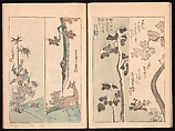 Spread 9 of 17 Ink Traces of Kenzan (Kenzan iboku), Sakai Hōitsu (Japanese, 1761–1828), Woodblock printed book; ink and color on paper, Japan
