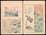 Spread 10 of 17 Ink Traces of Kenzan (Kenzan iboku), Sakai Hōitsu (Japanese, 1761–1828), Woodblock printed book; ink and color on paper, Japan