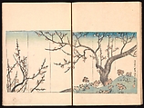 Spread 11 of 17 Ink Traces of Kenzan (Kenzan iboku), Sakai Hōitsu (Japanese, 1761–1828), Woodblock printed book; ink and color on paper, Japan