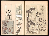 Spread 13 of 17 Ink Traces of Kenzan (Kenzan iboku), Sakai Hōitsu (Japanese, 1761–1828), Woodblock printed book; ink and color on paper, Japan
