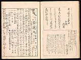Spread 16 of 17 Ink Traces of Kenzan (Kenzan iboku), Sakai Hōitsu (Japanese, 1761–1828), Woodblock printed book; ink and color on paper, Japan