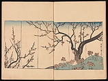 Spread 3 of 16 Ink Traces of Kenzan (Kenzan iboku), Sakai Hōitsu (Japanese, 1761–1828), Woodblock printed book; ink and color on paper, Japan