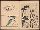 Spread 5 of 16 Ink Traces of Kenzan (Kenzan iboku), Sakai Hōitsu (Japanese, 1761–1828), Woodblock printed book; ink and color on paper, Japan