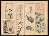 Spread 7 of 16 Ink Traces of Kenzan (Kenzan iboku), Sakai Hōitsu (Japanese, 1761–1828), Woodblock printed book; ink and color on paper, Japan