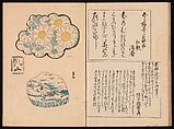 Spread 13 of 16 Ink Traces of Kenzan (Kenzan iboku), Sakai Hōitsu (Japanese, 1761–1828), Woodblock printed book; ink and color on paper, Japan