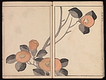 Kōrin's Painting Style (Kōrin gashiki), Aikawa Minwa (Japanese, active 1806–1821), Set of two Woodblock printed books; ink and color on paper, Japan