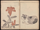 Kōrin's Painting Style (Kōrin gashiki), Aikawa Minwa (Japanese, active 1806–1821), Set of two Woodblock printed books; ink and color on paper, Japan