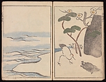 Kōrin's Painting Style (Kōrin gashiki), Aikawa Minwa (Japanese, active 1806–1821), Set of two Woodblock printed books; ink and color on paper, Japan