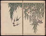 Kōrin's Painting Style (Kōrin gashiki), Aikawa Minwa (Japanese, active 1806–1821), Set of two Woodblock printed books; ink and color on paper, Japan