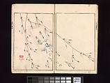 Spread 6 Ōson (Hōitsu) Picture Album (Ōson gafu), Sakai Hōitsu (Japanese, 1761–1828), Woodblock printed book; ink and color on paper, Japan