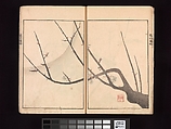 Spread 8 Ōson (Hōitsu) Picture Album (Ōson gafu), Sakai Hōitsu (Japanese, 1761–1828), Woodblock printed book; ink and color on paper, Japan