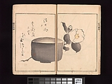 Spread 9 Ōson (Hōitsu) Picture Album (Ōson gafu), Sakai Hōitsu (Japanese, 1761–1828), Woodblock printed book; ink and color on paper, Japan