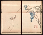 Ōson (Hōitsu) Picture Album (Ōson gafu), Sakai Hōitsu (Japanese, 1761–1828), Woodblock printed book; ink and color on paper, Japan