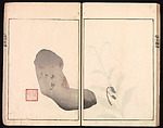 Ōson (Hōitsu) Picture Album (Ōson gafu), Sakai Hōitsu (Japanese, 1761–1828), Woodblock printed book; ink and color on paper, Japan