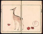 Ōson (Hōitsu) Picture Album (Ōson gafu), Sakai Hōitsu (Japanese, 1761–1828), Woodblock printed book; ink and color on paper, Japan
