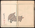 Ōson (Hōitsu) Picture Album (Ōson gafu), Sakai Hōitsu (Japanese, 1761–1828), Woodblock printed book; ink and color on paper, Japan