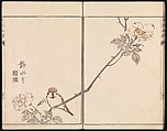 Sketches Reproduced from Works of Famous Artists, Kawanabe Kyōsai 河鍋暁斎 (Japanese, 1831–1889) and many others, Ink and color on paper, Japan