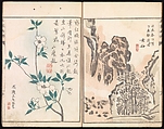 Sketches Reproduced from Works of Famous Artists, Kawanabe Kyōsai 河鍋暁斎 (Japanese, 1831–1889) and many others, Ink and color on paper, Japan