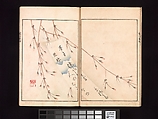 Vol. 2 Spread 6 Ōson (Hōitsu) Picture Album (Ōson gafu), Sakai Hōitsu (Japanese, 1761–1828), Woodblock printed book; ink and color on paper, Japan