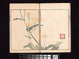 Vol. 2 Spread 7 Ōson (Hōitsu) Picture Album (Ōson gafu), Sakai Hōitsu (Japanese, 1761–1828), Woodblock printed book; ink and color on paper, Japan