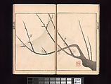 Vol. 2 Spread 8 Ōson (Hōitsu) Picture Album (Ōson gafu), Sakai Hōitsu (Japanese, 1761–1828), Woodblock printed book; ink and color on paper, Japan