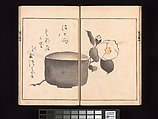 Vol. 2 Spread 9 Ōson (Hōitsu) Picture Album (Ōson gafu), Sakai Hōitsu (Japanese, 1761–1828), Woodblock printed book; ink and color on paper, Japan