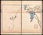 Ōson (Hōitsu) Picture Album (Ōson gafu), Sakai Hōitsu (Japanese, 1761–1828), Woodblock printed book; ink and color on paper, Japan