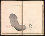 Ōson (Hōitsu) Picture Album (Ōson gafu), Sakai Hōitsu (Japanese, 1761–1828), Woodblock printed book; ink and color on paper, Japan