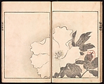 Ōson (Hōitsu) Picture Album (Ōson gafu), Sakai Hōitsu (Japanese, 1761–1828), Woodblock printed book; ink and color on paper, Japan