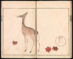 Ōson (Hōitsu) Picture Album (Ōson gafu), Sakai Hōitsu (Japanese, 1761–1828), Woodblock printed book; ink and color on paper, Japan