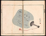 Ōson (Hōitsu) Picture Album (Ōson gafu), Sakai Hōitsu (Japanese, 1761–1828), Woodblock printed book; ink and color on paper, Japan