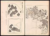 One Hundred Newly Selected Designs by Kōrin (Kōrin shinsen hyakuzu), Ogata Kōrin (Japanese, 1658–1716), Two volumes of Woodblock printed books; ink on paper, Japan