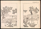 One Hundred Newly Selected Designs by Kōrin (Kōrin shinsen hyakuzu), Ogata Kōrin (Japanese, 1658–1716), Two volumes of Woodblock printed books; ink on paper, Japan