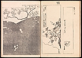 One Hundred Newly Selected Designs by Kōrin (Kōrin shinsen hyakuzu), Ogata Kōrin (Japanese, 1658–1716), Two volumes of Woodblock printed books; ink on paper, Japan