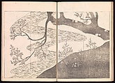 One Hundred Newly Selected Designs by Kōrin (Kōrin shinsen hyakuzu), Ogata Kōrin (Japanese, 1658–1716), Two volumes of Woodblock printed books; ink on paper, Japan