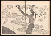 One Hundred Newly Selected Designs by Kōrin (Kōrin shinsen hyakuzu), Ogata Kōrin (Japanese, 1658–1716), Two volumes of Woodblock printed books; ink on paper, Japan