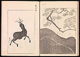 One Hundred Newly Selected Designs by Kōrin (Kōrin shinsen hyakuzu), Ogata Kōrin (Japanese, 1658–1716), Two volumes of Woodblock printed books; ink on paper, Japan