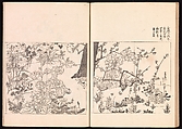 One Hundred Newly Selected Designs by Kōrin (Kōrin shinsen hyakuzu), Ogata Kōrin (Japanese, 1658–1716), Two volumes of Woodblock printed books; ink on paper, Japan