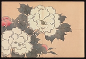 Flowers of a Hundred Worlds (Momoyogusa), Kamisaka Sekka (Japanese, 1866–1942), Set of three woodblock-printed books; ink and color on paper, Japan