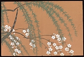 Flowers of a Hundred Worlds (Momoyogusa), Kamisaka Sekka (Japanese, 1866–1942), Set of three woodblock-printed books; ink and color on paper, Japan