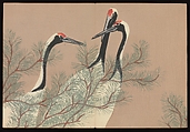 Flowers of a Hundred Worlds (Momoyogusa), Kamisaka Sekka (Japanese, 1866–1942), Set of three woodblock-printed books; ink and color on paper, Japan